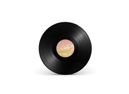 Charly Efe - Todos Los Ojos Lloran Mierda LP (2012) PRE ORDER
